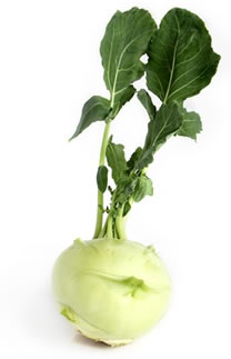 Kohlrabi originated in northern Europe. It was first developed by ...