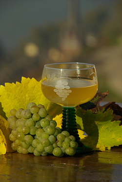 White Wine from the Rhine River